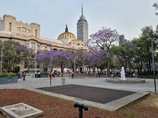 Alameda Central photo 4
