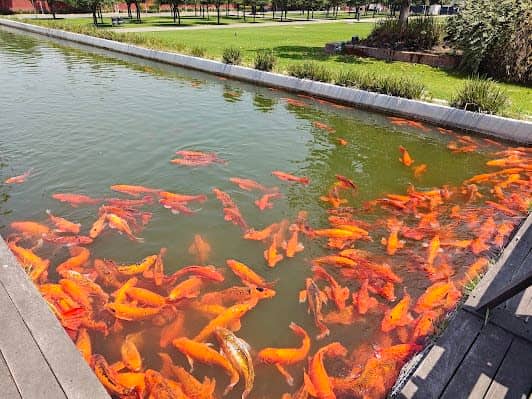 Parque Bicentenario photo 3