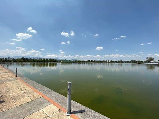 Parque Bicentenario photo 5