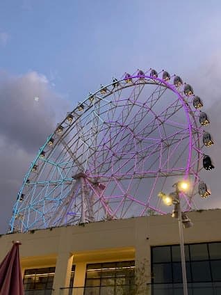 La Feria De Chapultepec