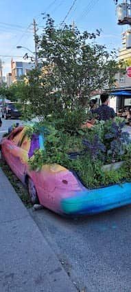 Kensington Market photo 4