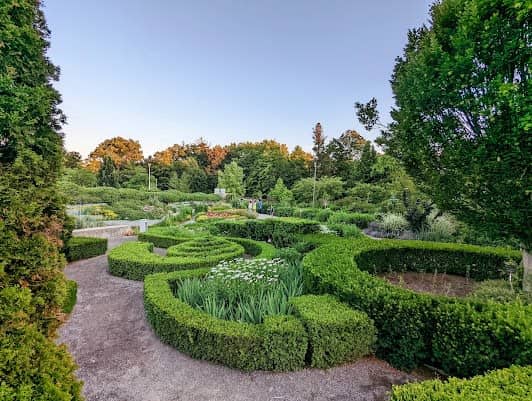 Toronto Botanical Garden photo 2