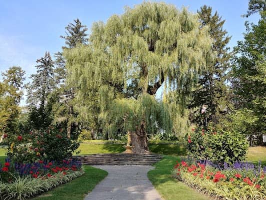 Toronto Botanical Garden photo 5