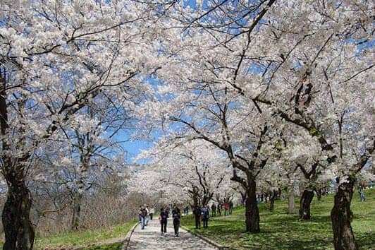 High Park photo 2