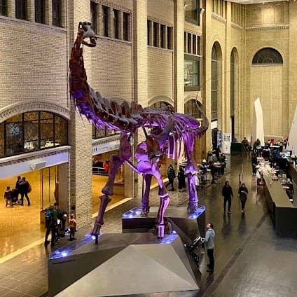Royal Ontario Museum photo 4