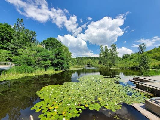 Evergreen Brick Works photo 3