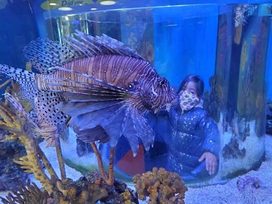 Ripley's Aquarium of Canada photo 3