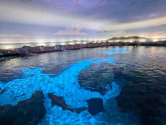 Ripley's Aquarium of Canada photo 5