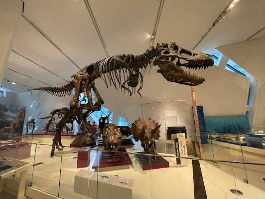 Royal Ontario Museum photo 2