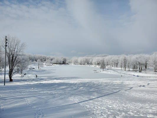 Mount Royal Park photo 5