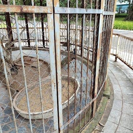 Botanical garden Hanoi photo 2