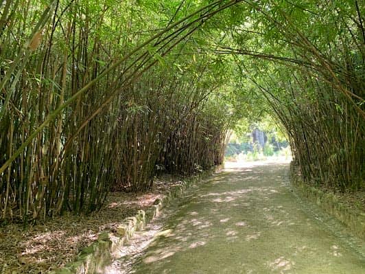 Botanical Garden of Lisbon photo 4