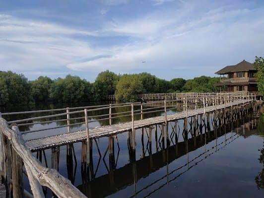 Taman Wisata Alam Angke photo 2