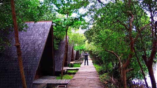 Taman Wisata Alam Angke photo 3