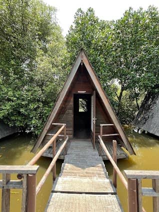 Taman Wisata Alam Angke photo 5