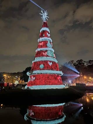 Ibirapuera Park photo 3