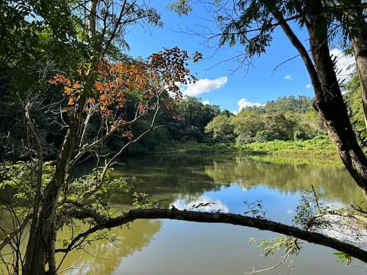 Parque Estadual Jaraguá photo 5