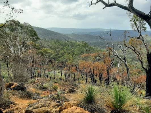 Kalamunda National Park photo 2