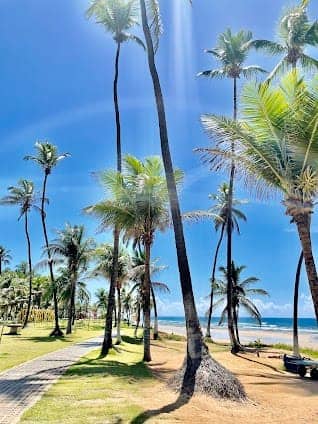 Praia do Flamengo photo 4