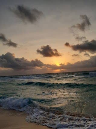 Dolphins Beach photo 3