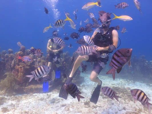 SCUBA CANCUN photo 3