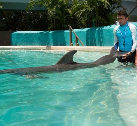 Interactive Aquarium Cancún photo 3