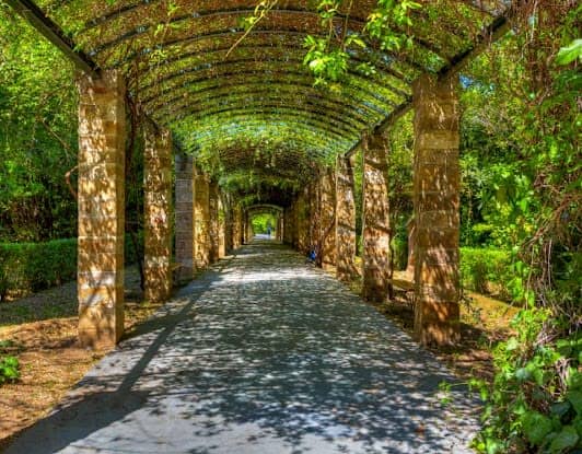 Athens National Garden photo 2