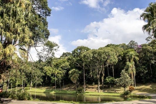 São Paulo Botanical Garden