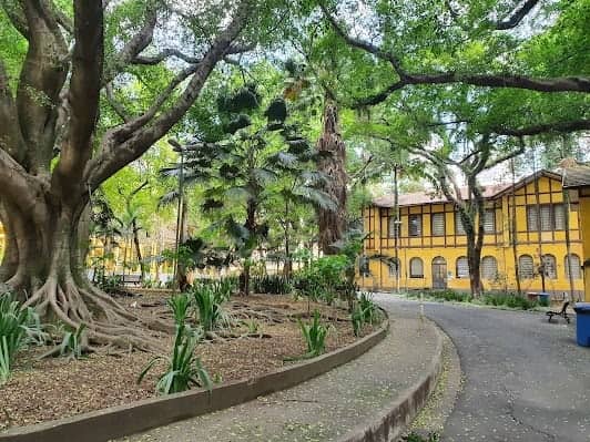Parque da Água Branca photo 4