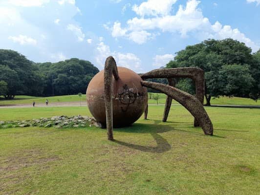 Parque da Juventude photo 5