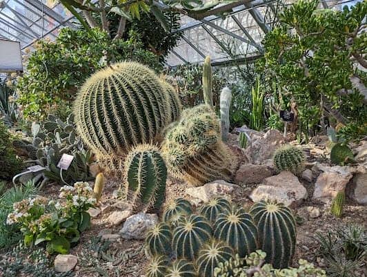Allan Gardens photo 3