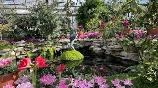Allan Gardens photo 4