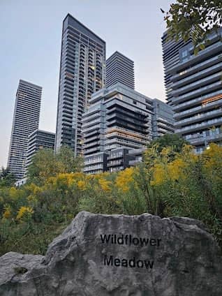 Humber Bay Park East photo 4
