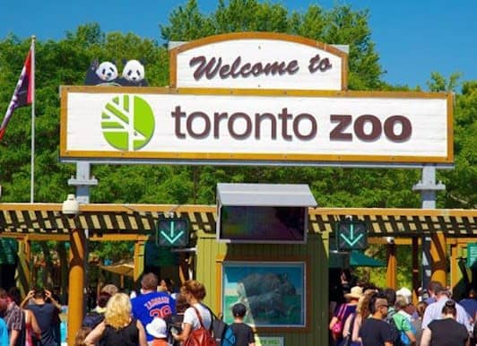 Toronto Zoo photo 6