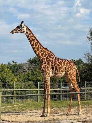 Toronto Zoo photo 3