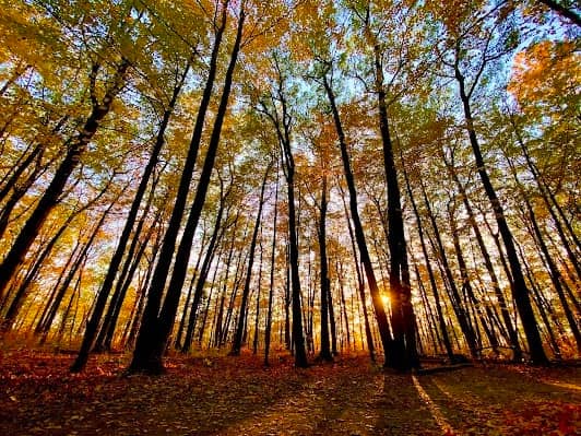 Rouge National Urban Park photo 3