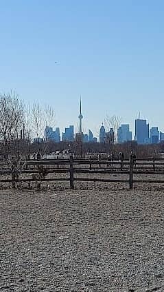 The Beaches photo 5