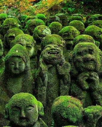 Otagi Nenbutsuji Temple photo 6