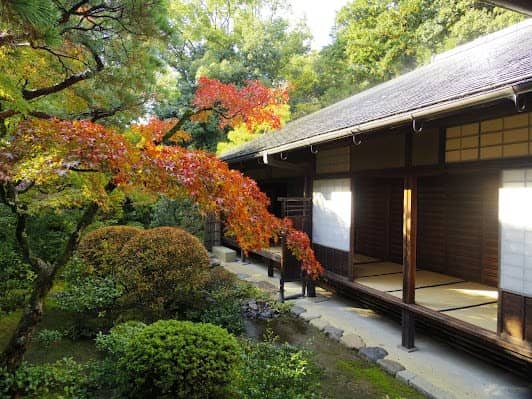 Daitoku-ji Temple photo 2