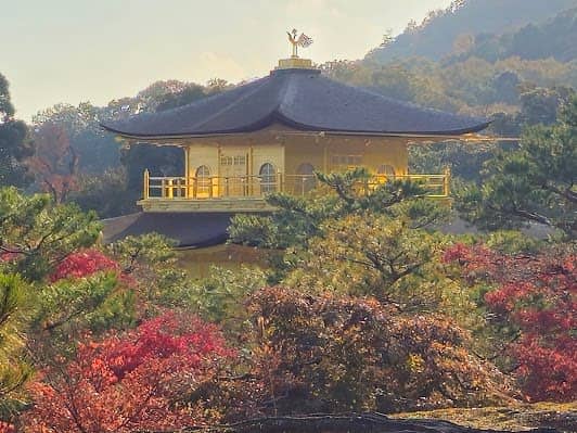 Kinkaku-ji photo 6