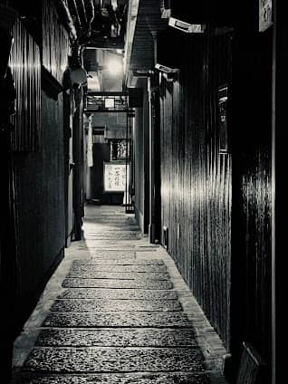 Pontocho Alley photo 7