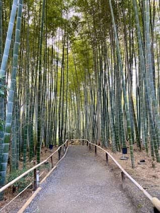 Kōdaiji Temple photo 3