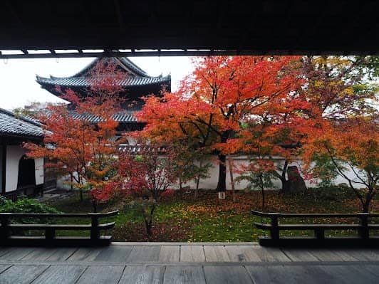 Hojo Garden (南禅寺方丈庭院) photo 2