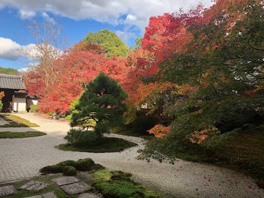 Hojo Garden (南禅寺方丈庭院) photo 4
