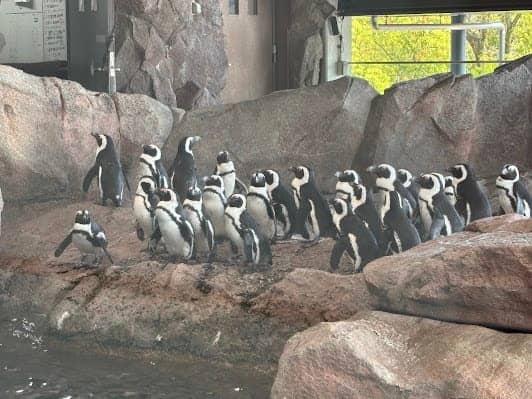 Kyoto Aquarium photo 3