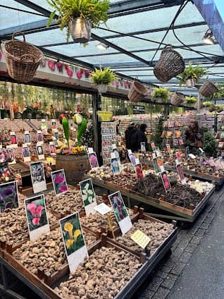 Flower Market photo 4