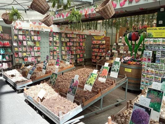 Flower Market photo 5