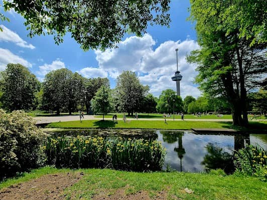 Het Park photo 7