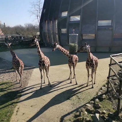 Rotterdam Zoo