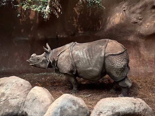 Rotterdam Zoo photo 4